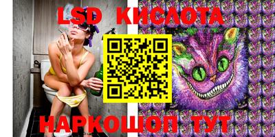 шишки Заводоуковск