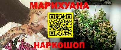 шишки Заводоуковск
