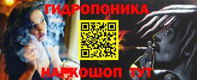 шишки Заводоуковск