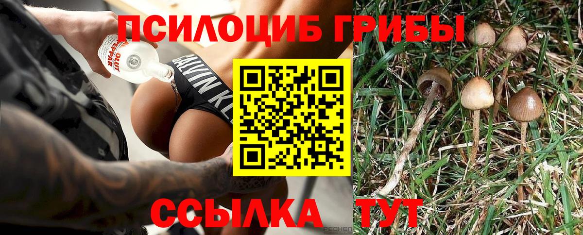 Галлюциногенные грибы Psilocybine cubensis Ликино-Дулёво