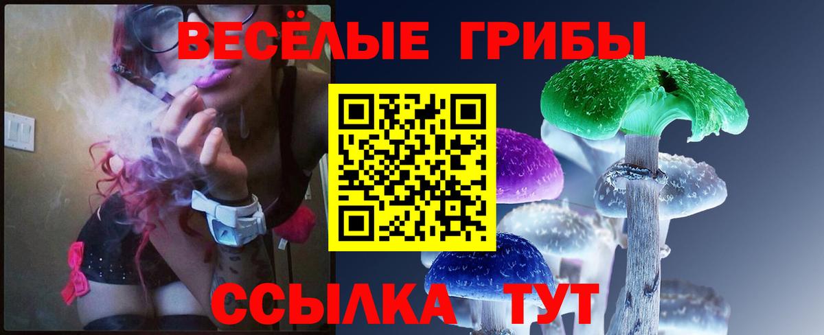 Галлюциногенные грибы ЛСД  Псилоцибиновые грибы прущие грибы  Ликино-Дулёво  Вход с VPN 